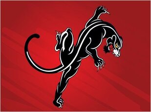 Sorry .. the picture cannot be seen